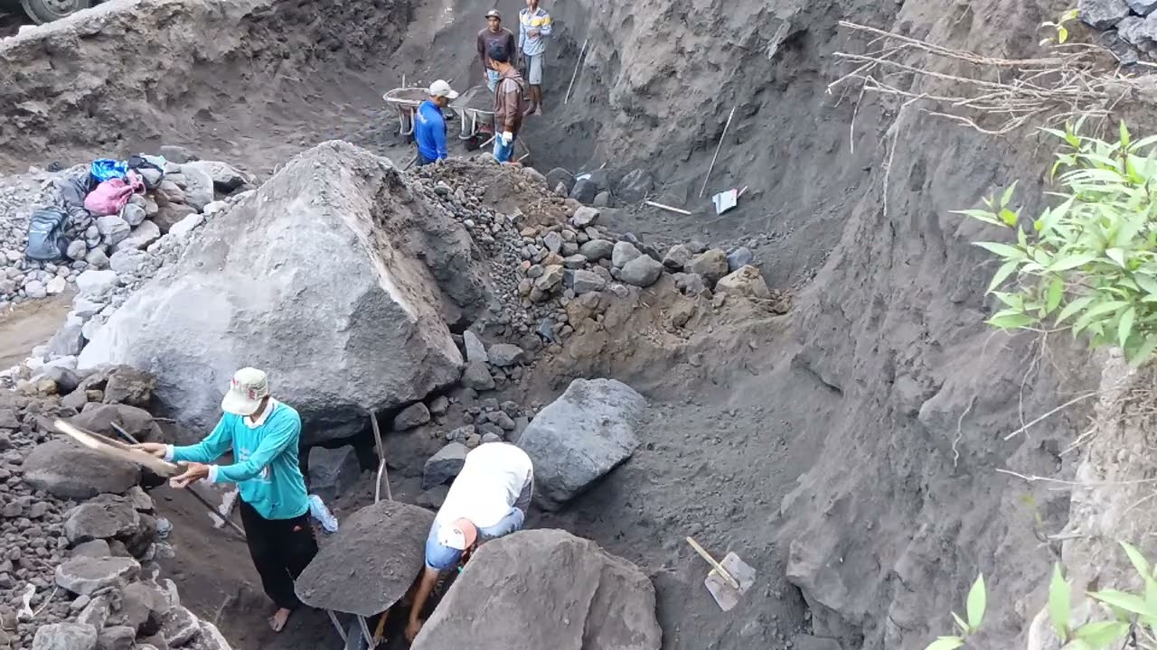 This is how manual sand miners mine black sand, they knock down sand and rocks from cliffs