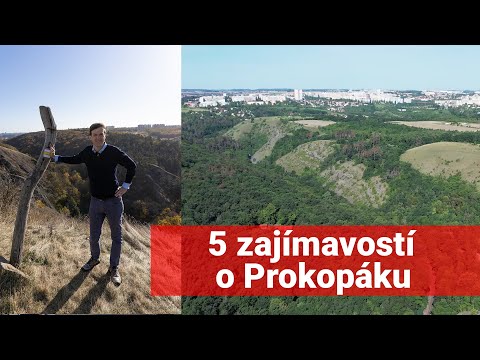 Video: 5 nejlepších prohlídek pivovaru v Denveru roku 2022