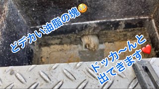 【閲覧注意！】店内排水溝からグリストラップまでの排水管が油脂の塊で閉塞 高圧洗浄で徹底的に除去する方法