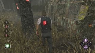 D11