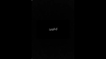 سورة النور | تلاوة خاشعة من الشيخ ماهر المعيقلي #القرآن_الكريم #ماهر_المعيقلي