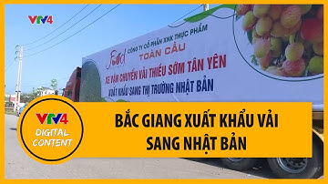 Bắc Giang xuất khẩu vải sang Nhật Bản | VTV4