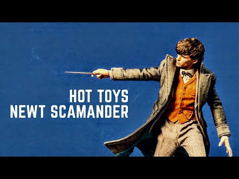 hot toys newt scamander