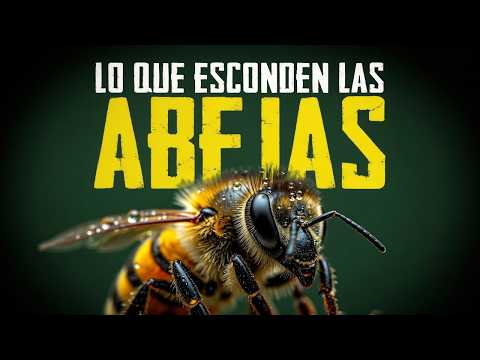 120 Miligramos: El Peso del Insecto del que Depende un Tercio de tu Comida