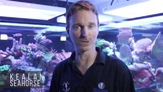 Seahorse Aquariums, the largest aquatic specialist shop in Ireland, Dublin.