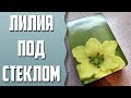 Мыловарение | Лилия под стеклом