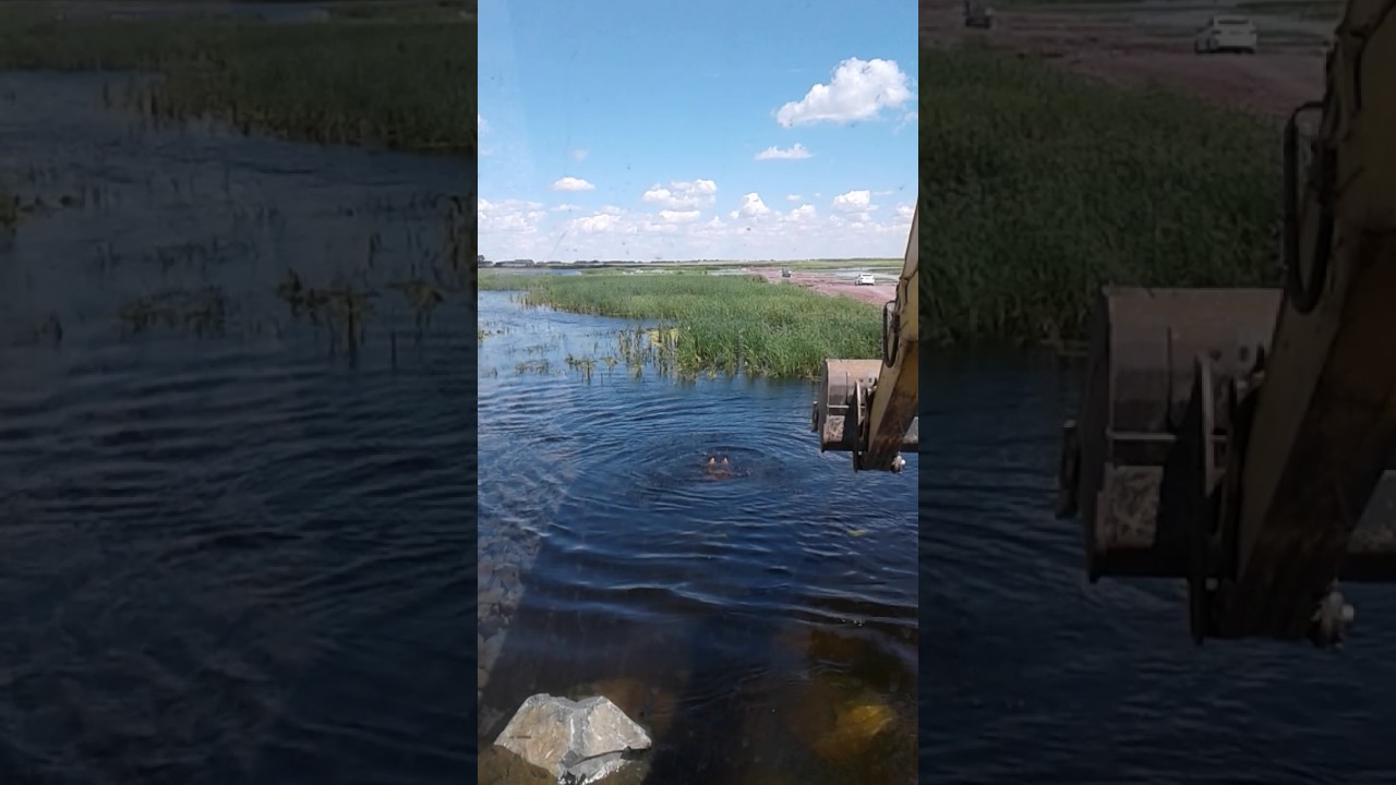 Кия речка кемерово