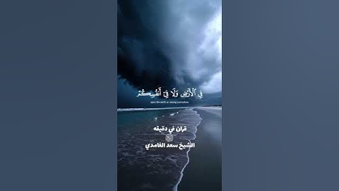 قران كريم ارح قلبك وسمعك #قران_في_دقيقة @قران_في_دقيقة #quran#قران #سعد_الغامدي#راحة_نفسية #funny