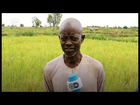 Bayan Matsalar Tsaro Sai Ga Tsuntsaye Sun Lalata Amfanin Gona 