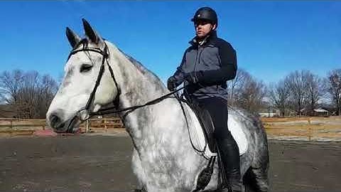 Help for SELF CARRIAGE