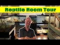 Reptile room tour  what beginners should know