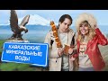 Кавказские Минеральные Воды | Tu days | Выходные за 5000 рублей