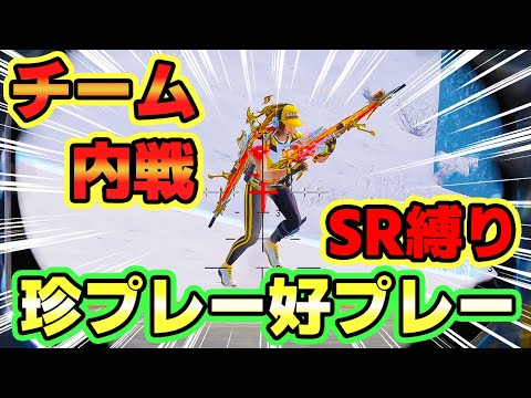 iPad3日目なのにチーム内戦のSR縛りに参加したら珍プレー好プレーすぎて盛り上がりすぎワロタｗ✨🎉【CODモバイル バトロワ】