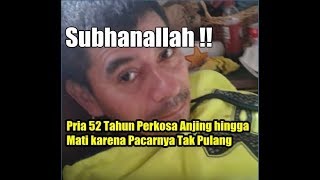 Pria 52 Tahun Perkosa Anjing hingga Mati karena Pacarnya Tak Pulang
