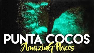 BIOLUMINESCENCE IN HOLBOX, MEXICO | PUNTA COCOS BEACH