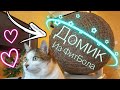 Домик Шар для Кота из ФитБола! Такого Вы ещё не видели!