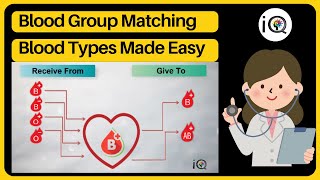 Compatible blood transfusions | Blood group matching | Blood Types Made Easy! | Blood Donation Guide
