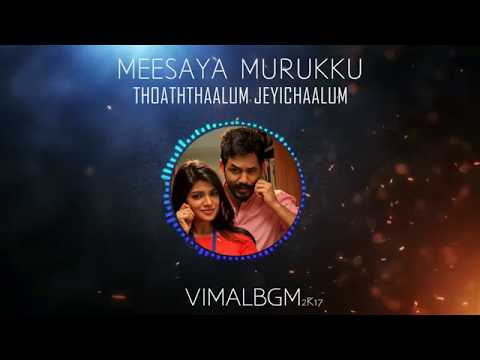 Thothalum Jeichalum | Official | Vimalbgm