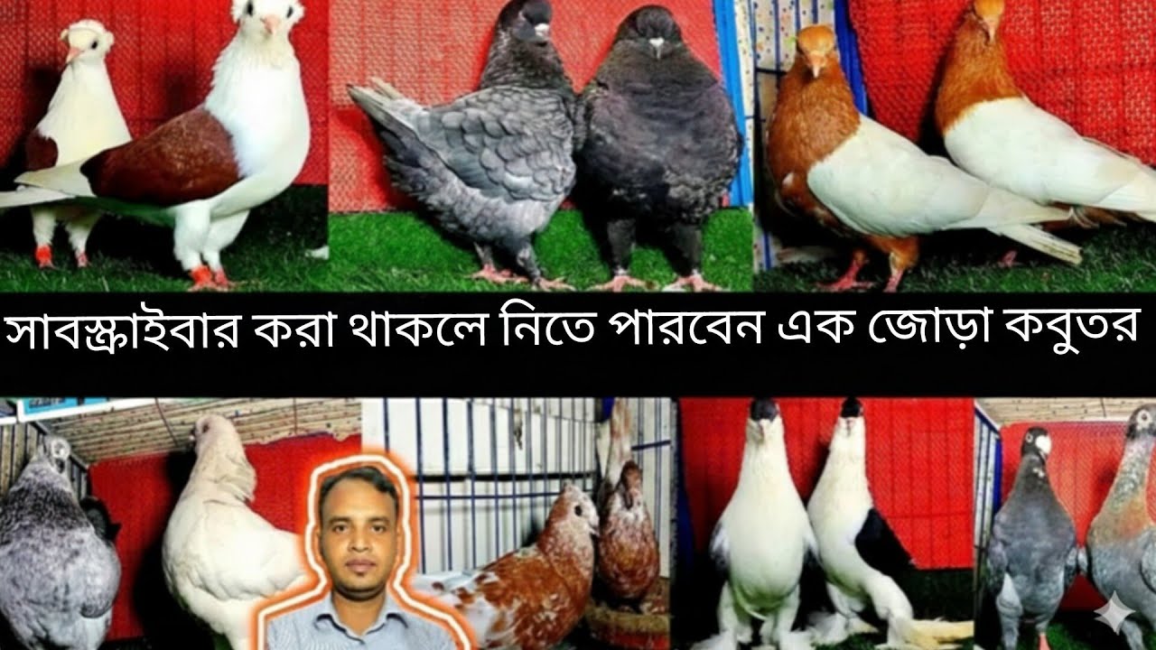 মাসের শুরুতে আবারো একটা অফার দিলাম সুন্দর করে 