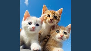 Peaceful Echoes for Pets
