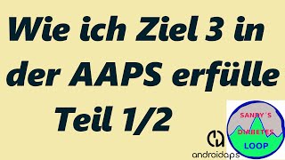Complete Objective 3 in AAPS 2.7 Part 1/2