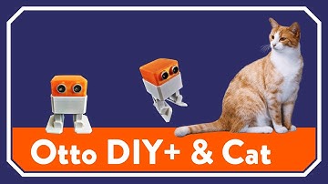 Otto DIY+ dancing robot & cat