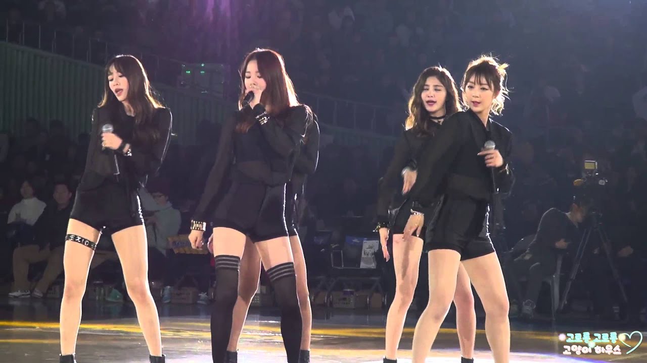 [직캠] 150111 EXID - 매일밤@프로농구 올스타전