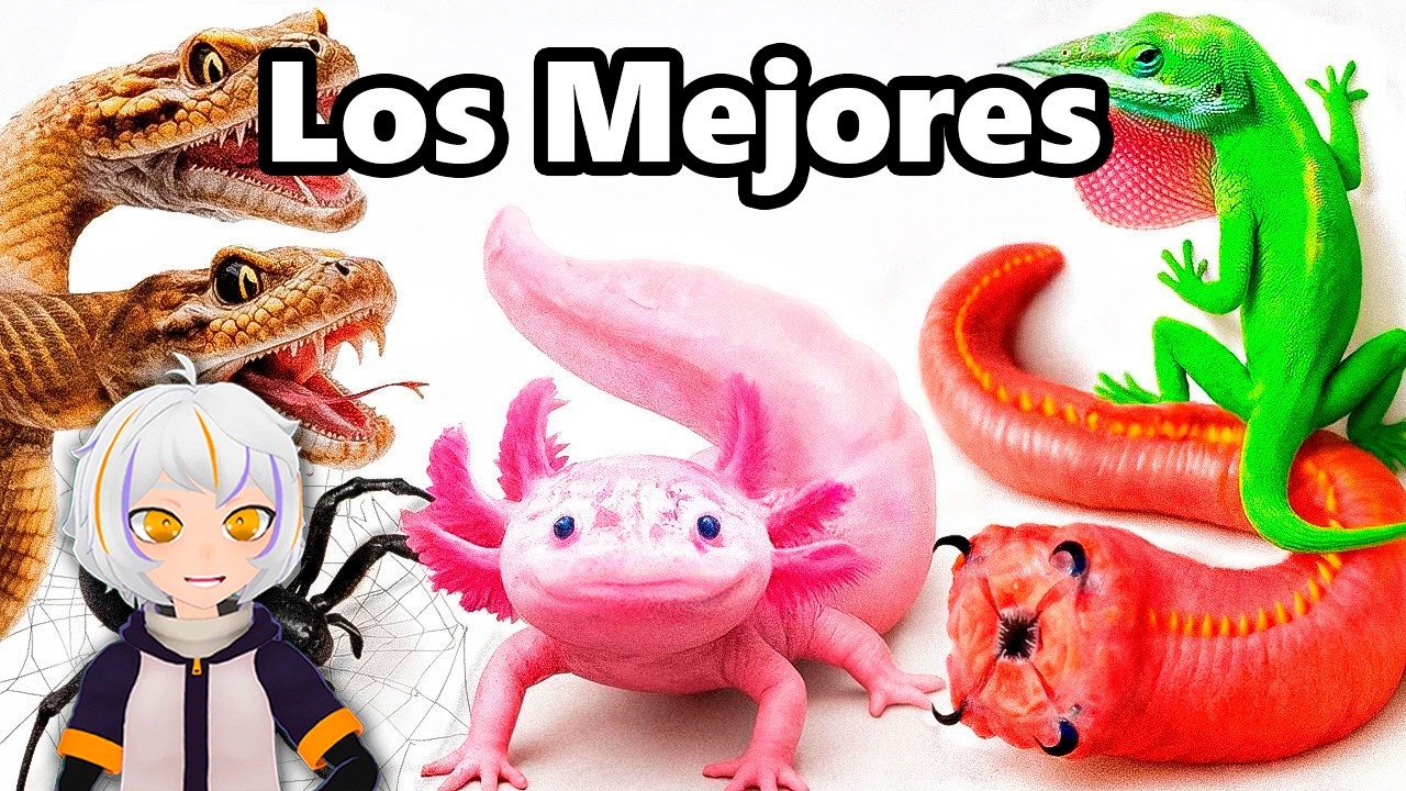 Mis Mejores Mascotas de 2026 (hasta ahora) | ChuyMine REACCIONA a TerraVerde Español