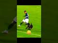 Animals in Football + Cow 🐄