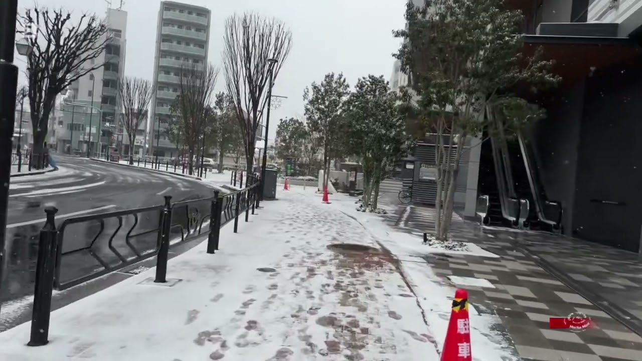 এইতো জীবন ।সময়ে অনেক কিছু মেনে নিতে হয়! হয়তো নিজের ভুলে, নয়তো ভাগ্যের পরিহাসে।