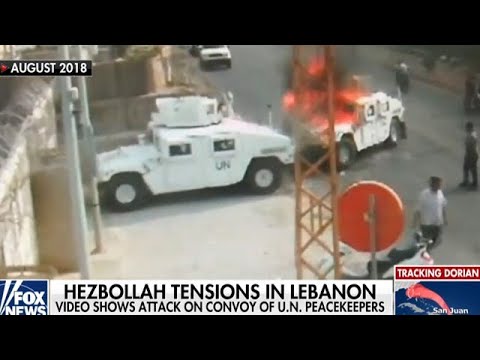 וִידֵאוֹ: שלד של נחש עם רגל אחת נמצא בלבנון (תמונה + וידאו)