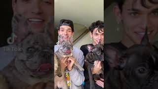 Dobre Brothers tiktok  #short