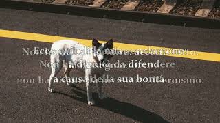 Pier Paolo Pasolini  -  COMUNICATO ALL'ANSA ( UN CANE )  -   Poetry in Music Project in Progress