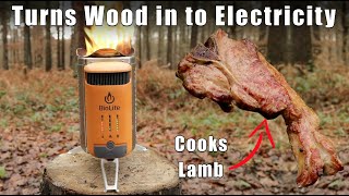 Its Electric  Camp Wood Stove by Bio Lite