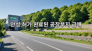 안성 공장부지