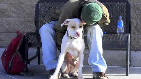 Safety during the SC Homeless PIT Count