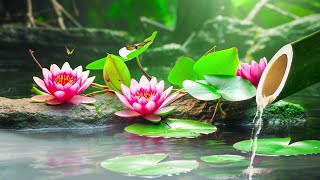 Calming Music, Relaxing Piano Music, Sleep Music, Sounds of Water, Relaxing Music