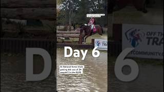 Getting 6th at Ballarat eventing!!! #subscribe #horse #equestrianjourney #equestrian #6th #tilly