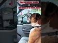 When you honked next car #funnyanimals #funny #memes #trendingshorts #bulldog #cars #happy #petlover