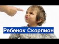 РЕБЕНОК СКОРПИОН: КАК РАЗВИТЬ ЛУЧШЕЕ В РЕБЕНКЕ