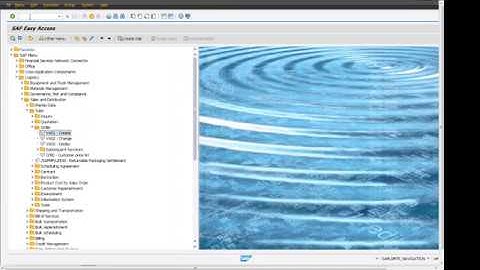 SAP S4 HANA Sales Order Item Sales B: SAP Beginners tutorial