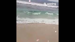 Jangan Biarkan Laut Biru Pasang Bergelombang