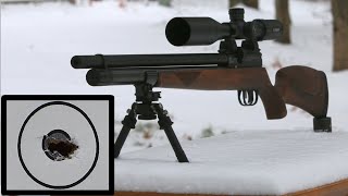 100 Yard Accuracy on a Budget | JTS Airacuda .25 | Complete PCP Air Rifle Kit for $500