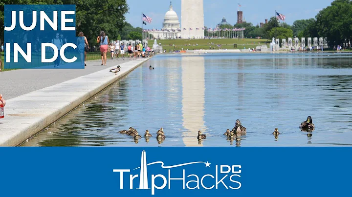 Tips for Visiting Washington DC in June