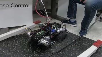 T-RO Representation-Free Model Predictive Control (RF-MPC) on Quadruped Panther