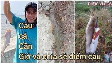 Câu cá Cần Giờ và Chia sẽ điểm câu