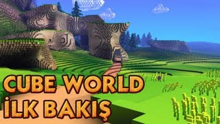 Cube World - İlk Bakış İnceleme