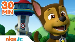 PAW Patrol Lookout Tower Rescues! w\/ Chase, Skye, Rocky \& Rubble | 30 Minute Compilation | Nick Jr.