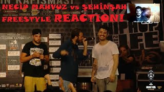 Şeyho Serbest ‼️NECİP MAHFUZ vs ŞEHİNŞAH Reaction!