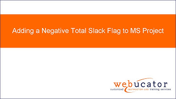 Adding a Negative Total Slack Flag to MS Project